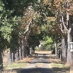 Kwatera prywatna Domaine De Mathabiau *