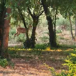 Domaine De Mathabiau Kwatera prywatna Castelsarrasin