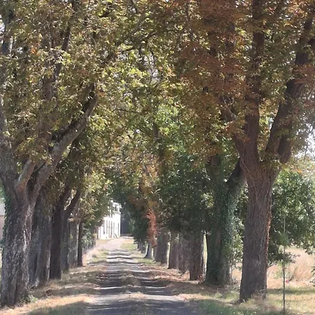 Ubytování v soukromí Domaine De Mathabiau Castelsarrasin