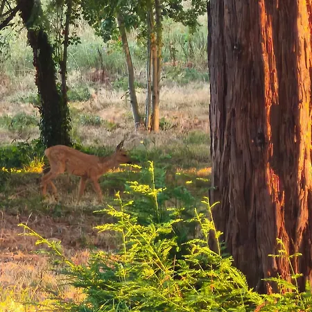 Domaine De Mathabiau Ubytování v soukromí Castelsarrasin