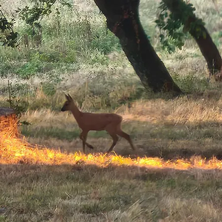 Domaine De Mathabiau Castelsarrasin