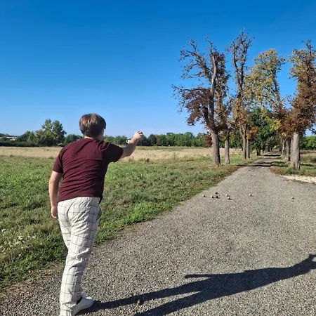 Domaine De Mathabiau ホームステイ