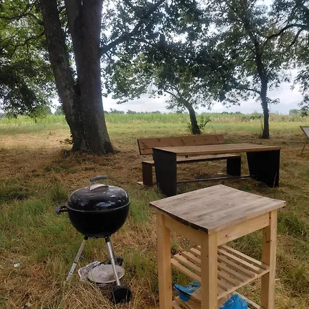 ホームステイ Domaine De Mathabiau *