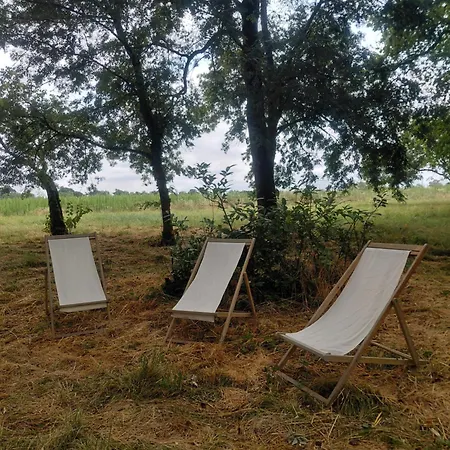 ホームステイ Domaine De Mathabiau