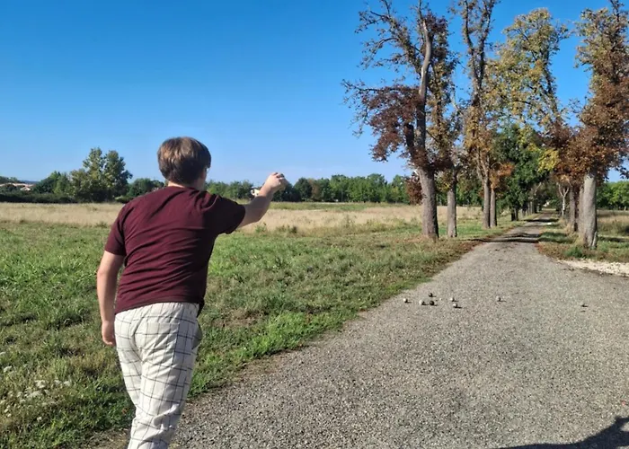 Domaine De Mathabiau ホームステイ